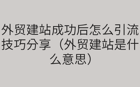 外贸建站成功后怎么引流技巧分享（外贸建站是什么意思）